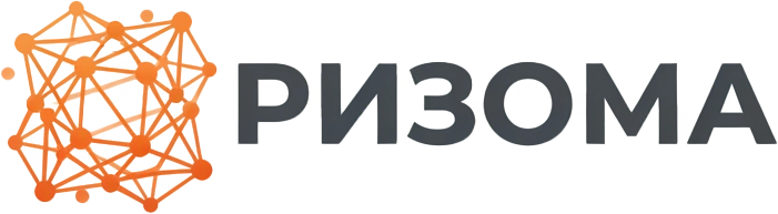 Ризома